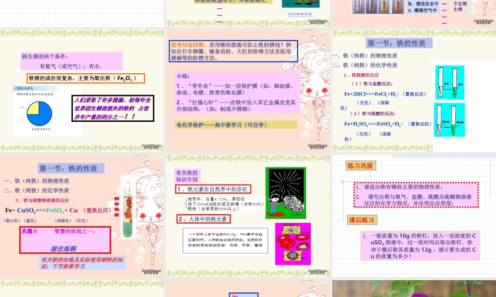 广西省壮族自治区初三化学铁 课件