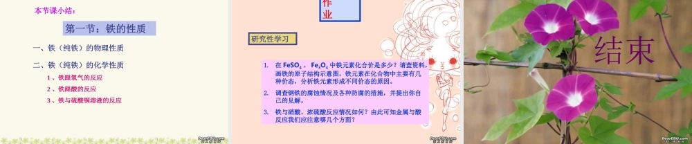 广西省壮族自治区初三化学铁 课件