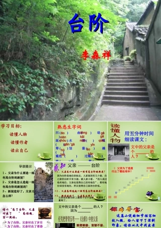 九年级语文下册 311 台阶课件 苏教版 课件