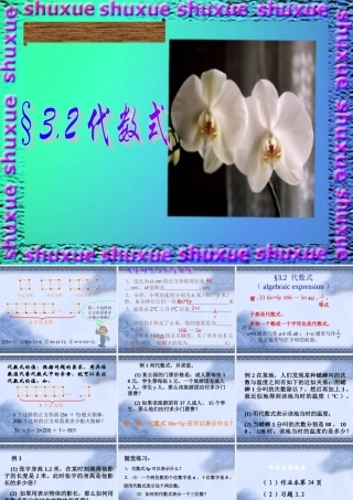 七年级数学代数式课件 华师版 课件