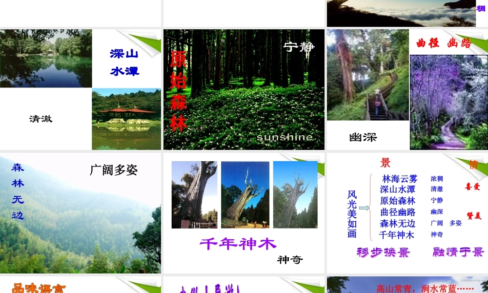 八年级语文上册 阿里山纪行课件 苏教版 课件