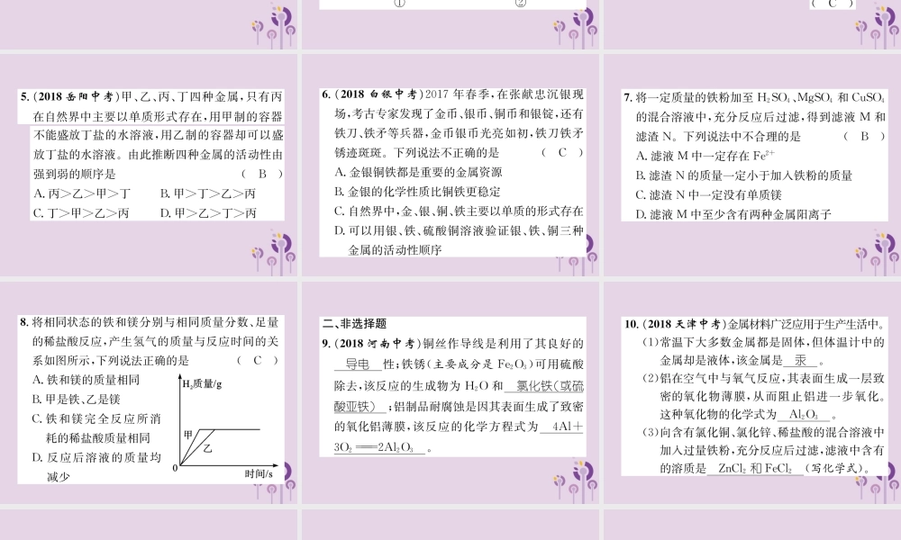 中考化学总复习 第1编 主题复习 模块1 身边的化学物质 课时6 金属的化学性质(精练)课件