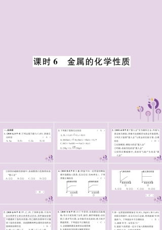 中考化学总复习 第1编 主题复习 模块1 身边的化学物质 课时6 金属的化学性质(精练)课件