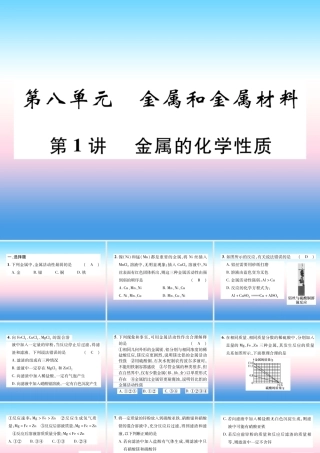 中考化学复习 第1编 教材知识梳理篇 第8单元 金属和金属材料 第1讲 金属的化学性质(精练)课件