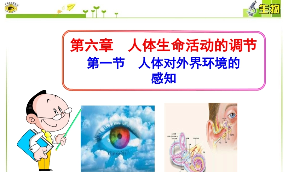 科学·技术·社会-角膜移植、角膜捐献和人造角膜