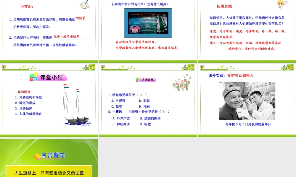 科学·技术·社会-角膜移植、角膜捐献和人造角膜