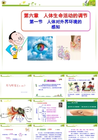 科学·技术·社会-角膜移植、角膜捐献和人造角膜