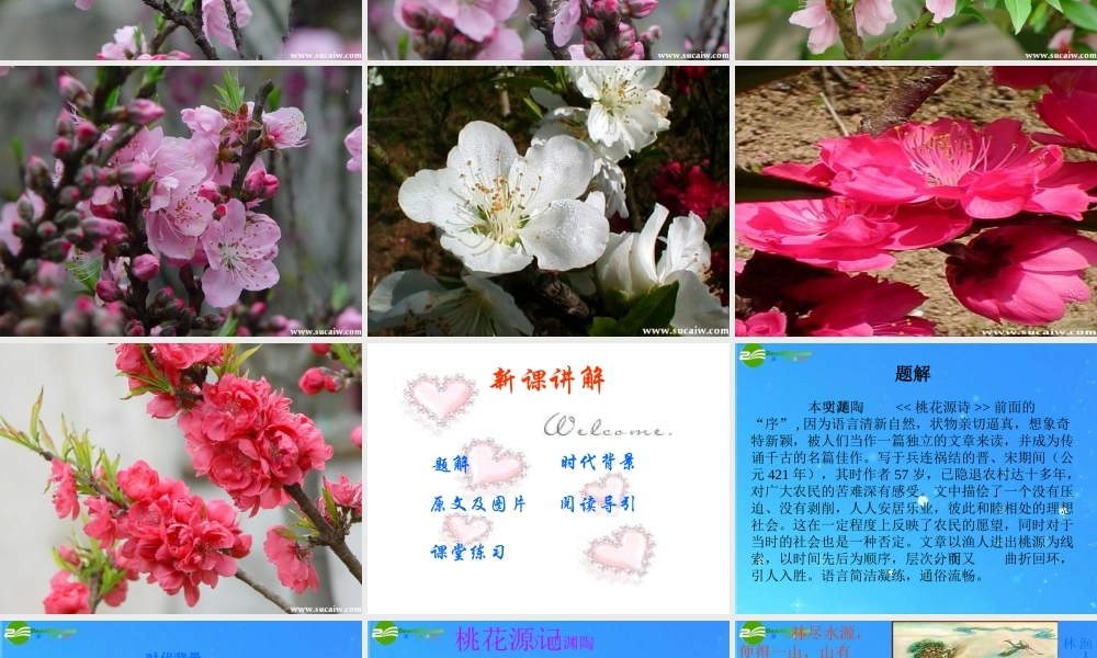 八年级语文下册 第七单元第25课(桃花源记)课件 人教新课标版 课件