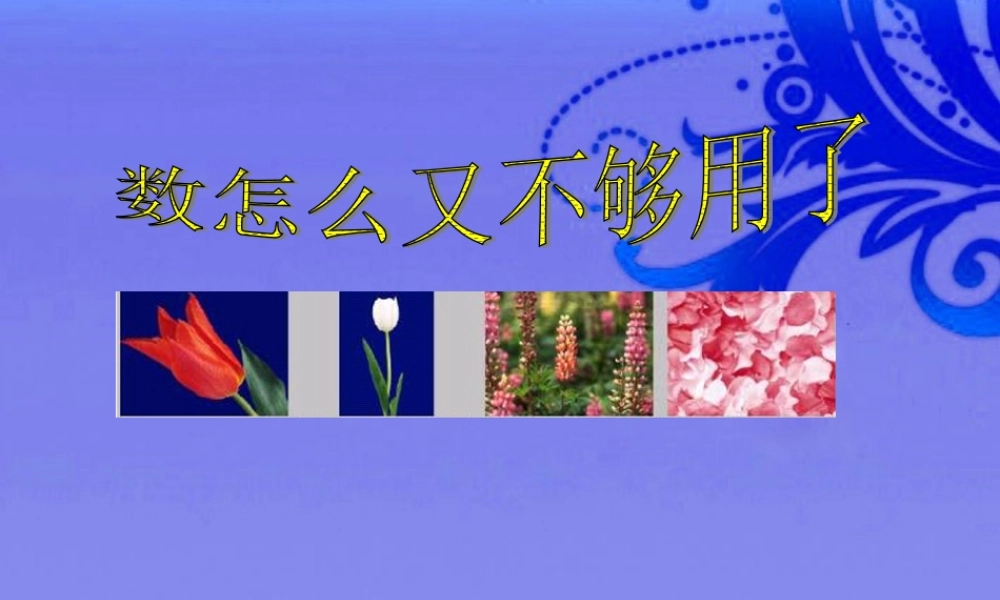 八年级数学上册 2.1 数怎么又不够用了课件 北师大版 课件