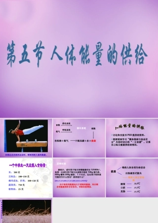 中学七年级生物下册 10.5 人体能量的供给课件 苏教版 课件