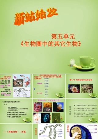八年级生物上册 5.1.1 腔肠动物和扁形动物课件1 (新版)新人教版 课件