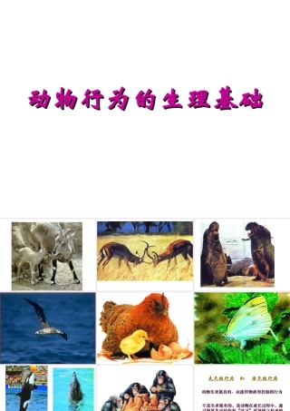 八年级生物上册第17章第二节 动物行为的生理基础 课件 苏教版 课件