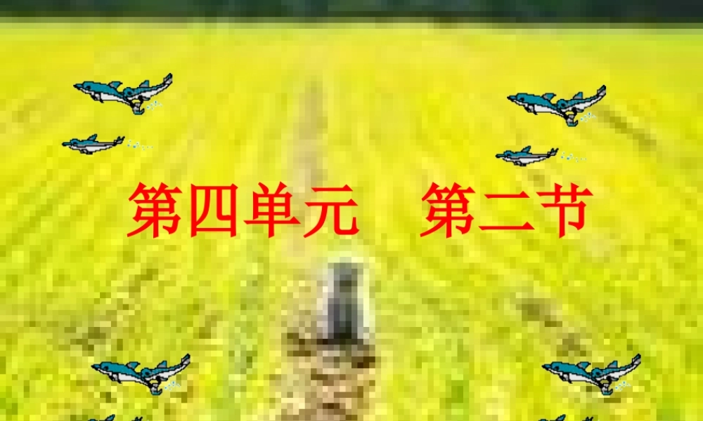 九年级思想品德 第四单元 第二节 感受使命 课件 湘师版  课件