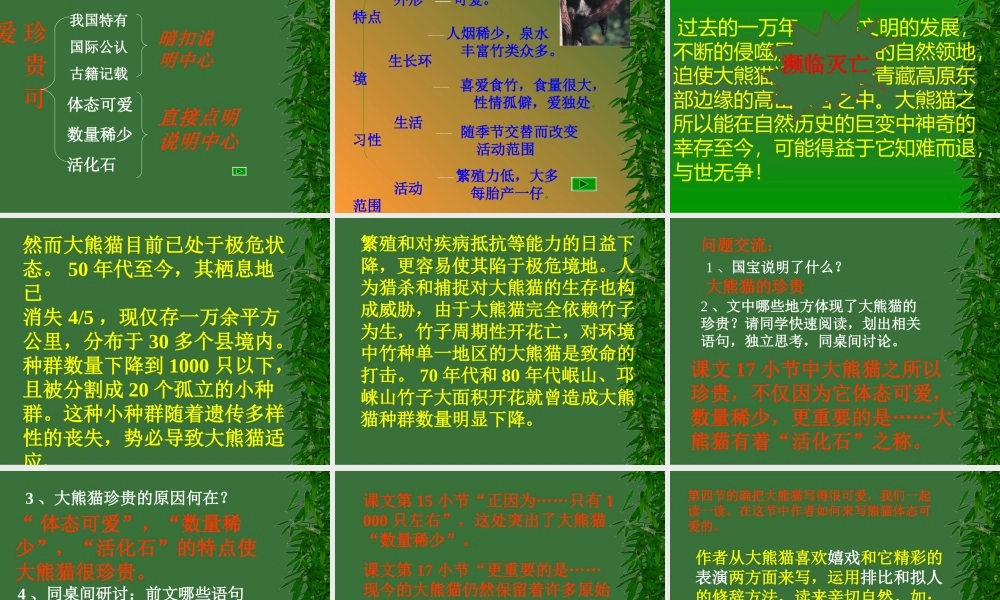 语文：4[1].17国宝大熊猫课件(苏教版七年级下)