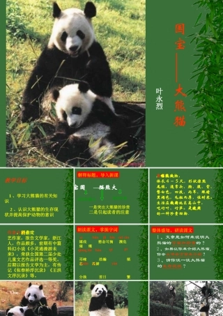 语文：4[1].17国宝大熊猫课件(苏教版七年级下)