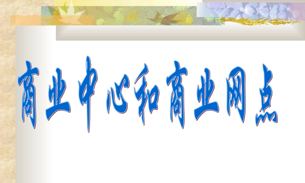初中中国地理部分 商业中心和商业网点 课件