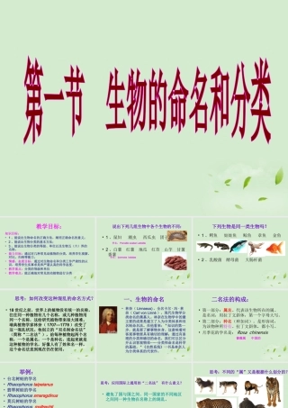 七年级生物 第十三章 生物的命名和分类 件 苏科版 课件