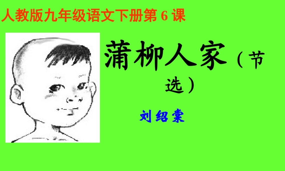 九年级语文下册 蒲柳人家课件 人教新课标版 课件