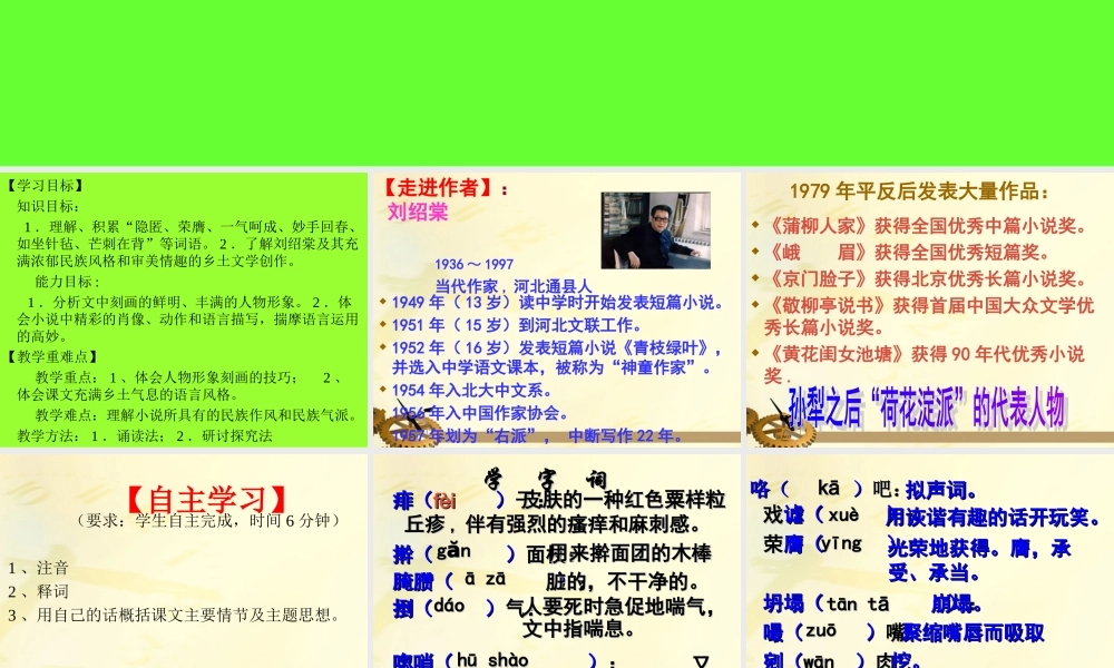 九年级语文下册 蒲柳人家课件 人教新课标版 课件