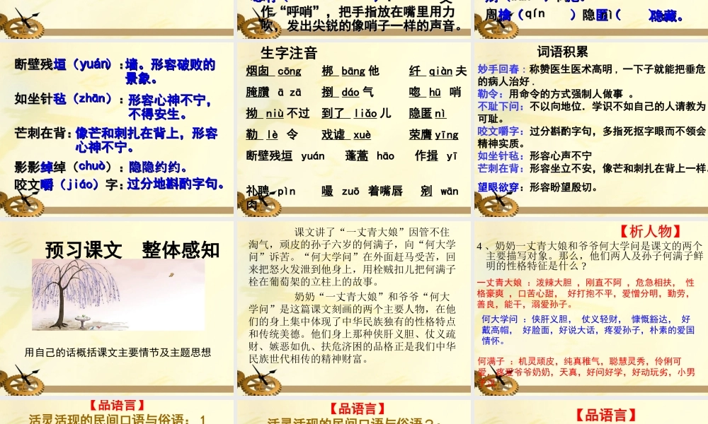 九年级语文下册 蒲柳人家课件 人教新课标版 课件