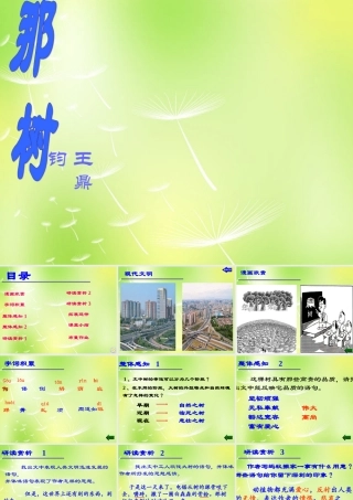 九年级语文下册 10 那树课件 新人教版 课件