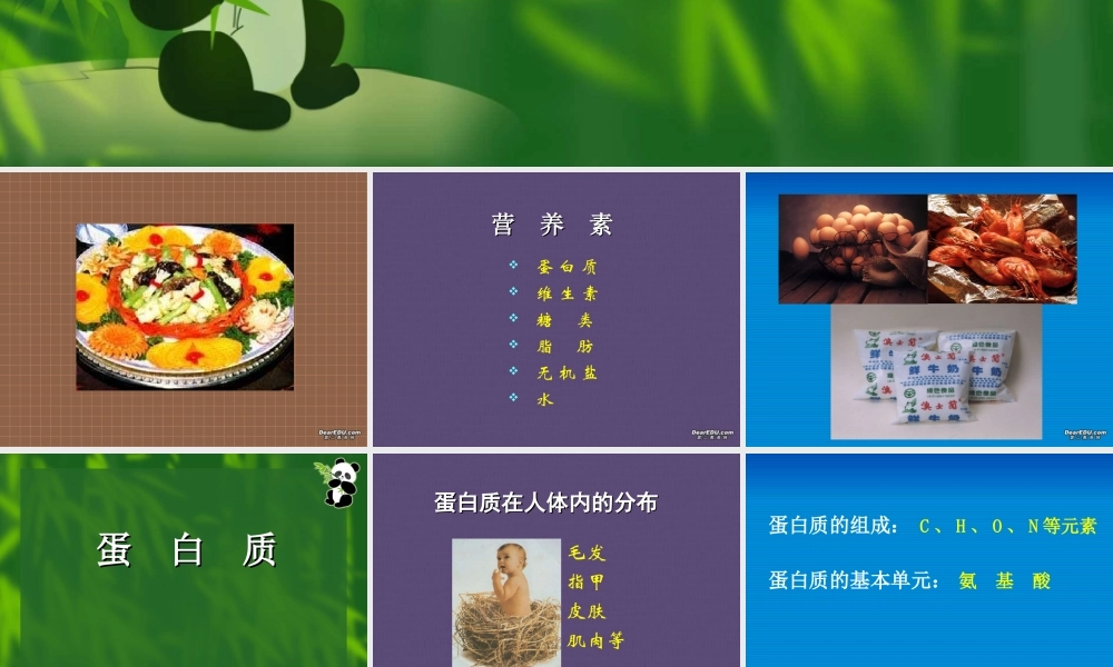 新课标 人教版化学与生活 人类重要的营养物质1 课件
