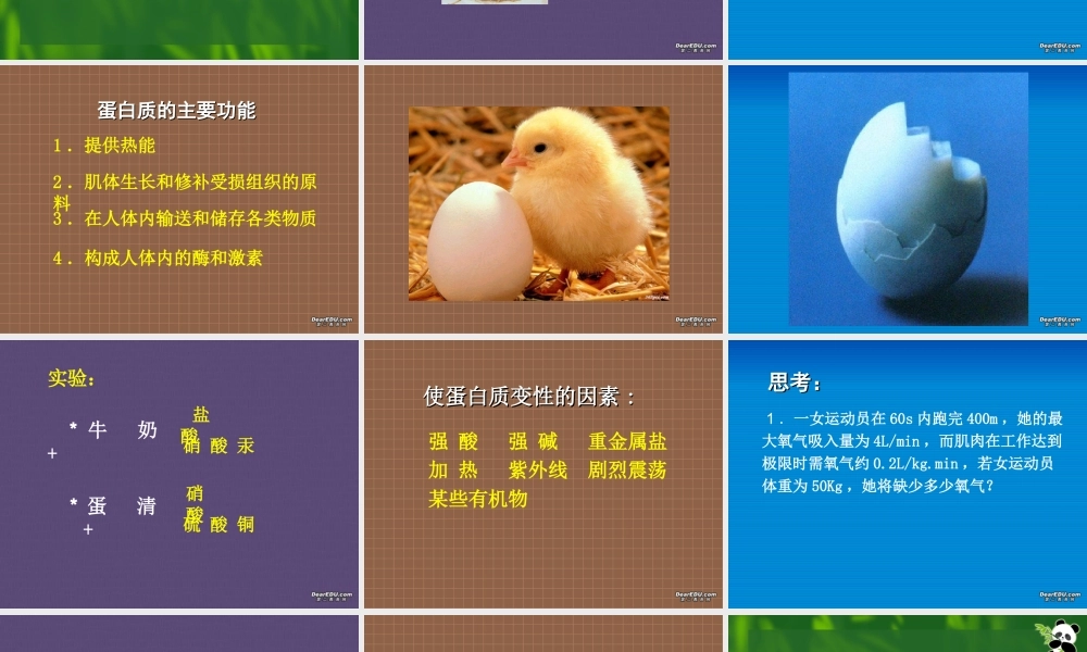 新课标 人教版化学与生活 人类重要的营养物质1 课件