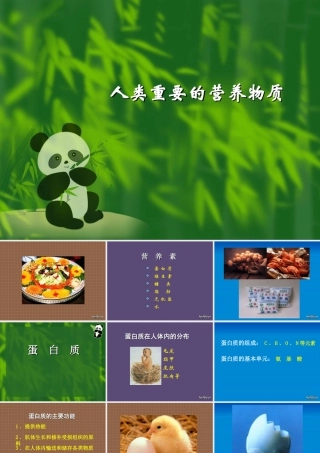 新课标 人教版化学与生活 人类重要的营养物质1 课件