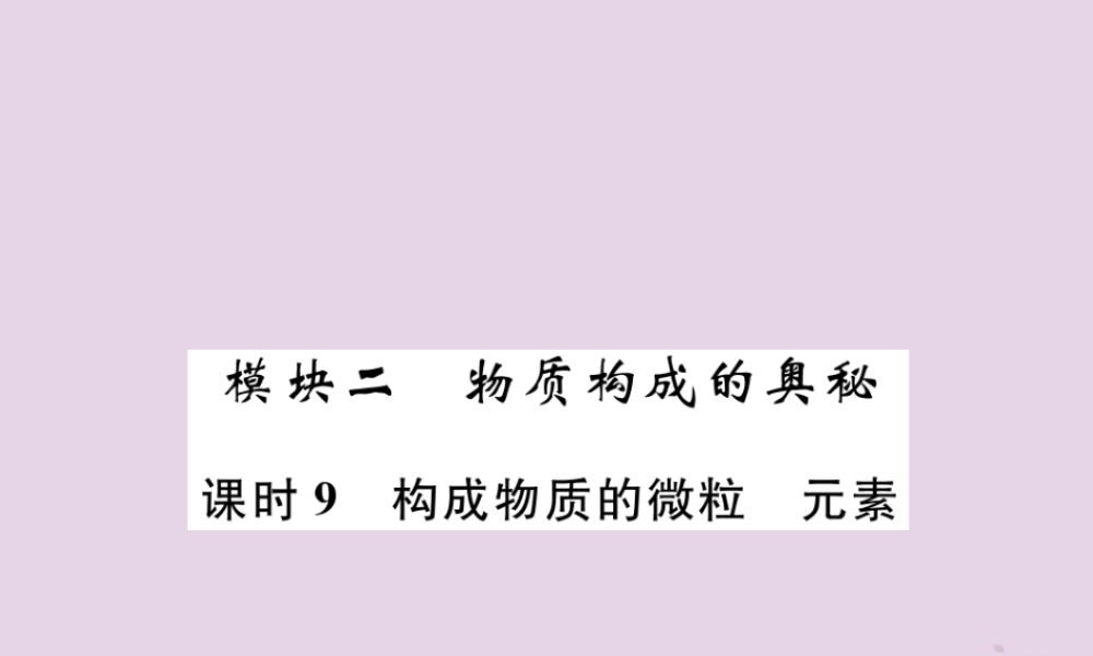 中考化学总复习 第1编 主题复习 模块2 物质构成的奥秘 课时9 构成物质的微粒 元素(精练)课件