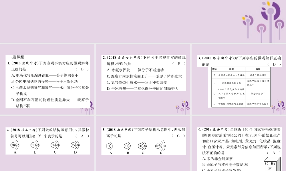 中考化学总复习 第1编 主题复习 模块2 物质构成的奥秘 课时9 构成物质的微粒 元素(精练)课件