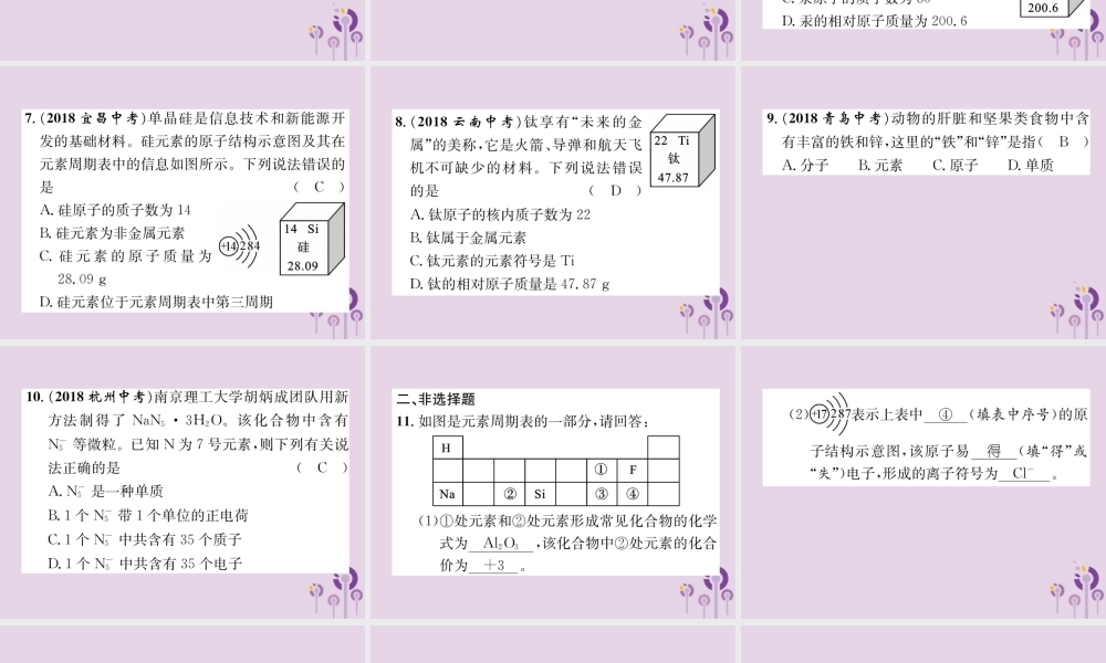 中考化学总复习 第1编 主题复习 模块2 物质构成的奥秘 课时9 构成物质的微粒 元素(精练)课件
