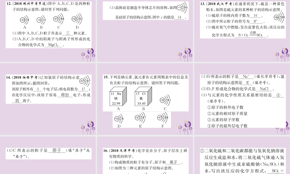 中考化学总复习 第1编 主题复习 模块2 物质构成的奥秘 课时9 构成物质的微粒 元素(精练)课件