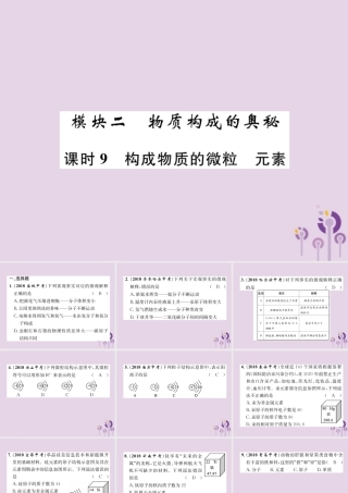 中考化学总复习 第1编 主题复习 模块2 物质构成的奥秘 课时9 构成物质的微粒 元素(精练)课件