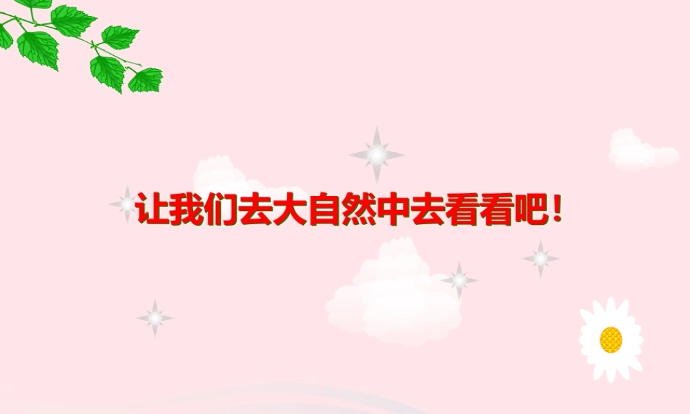 中学主题班会 道德类 保护环境 我的责任课件