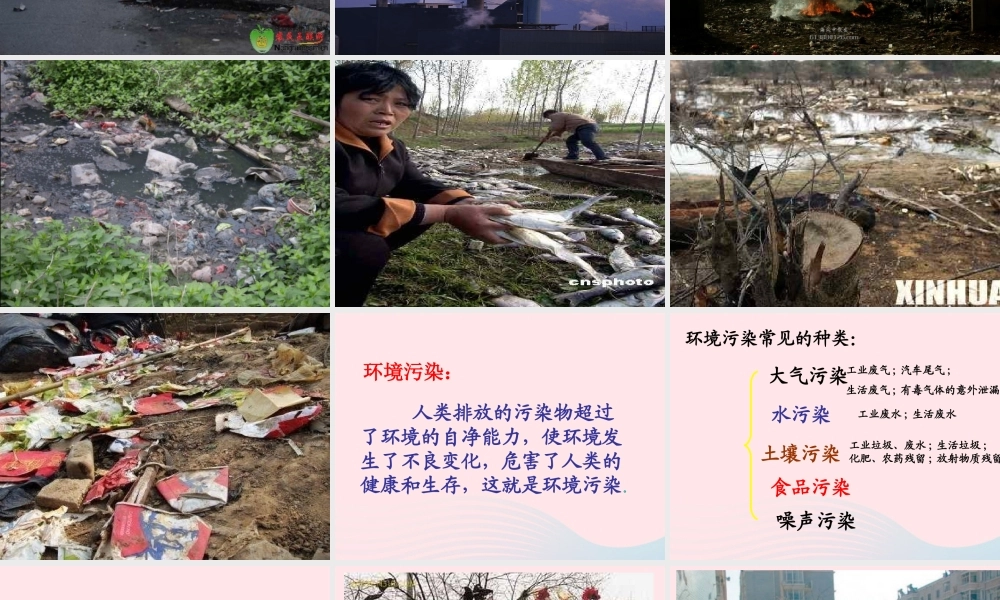 中学主题班会 道德类 保护环境 我的责任课件