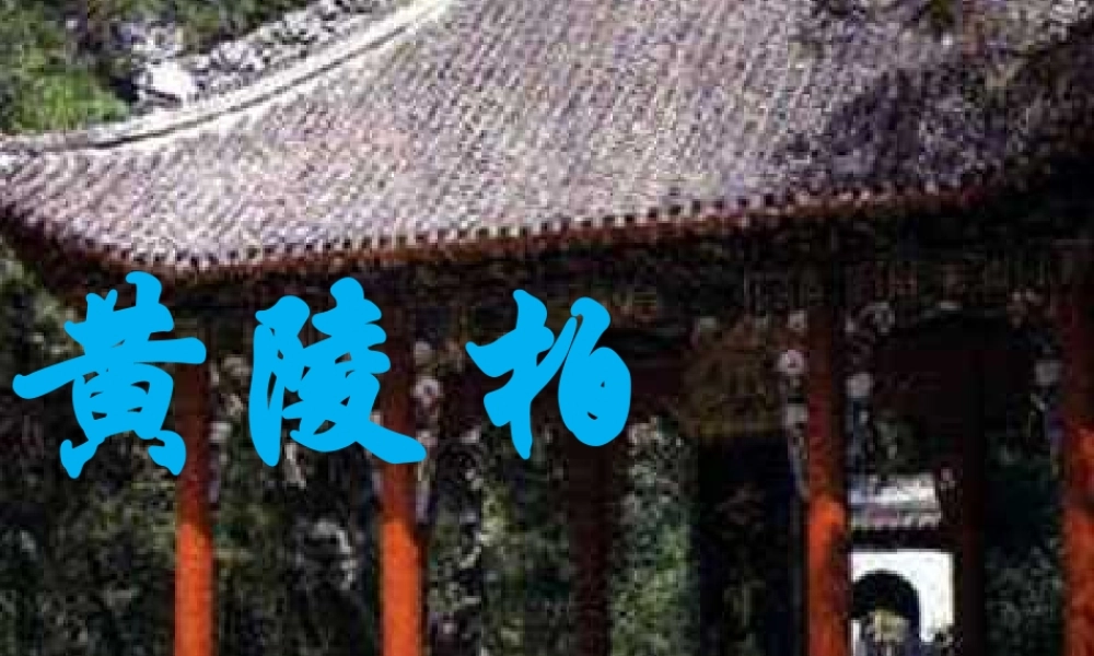 七年级语文下册 第五单元 18(黄陵柏)课件 冀教版 课件