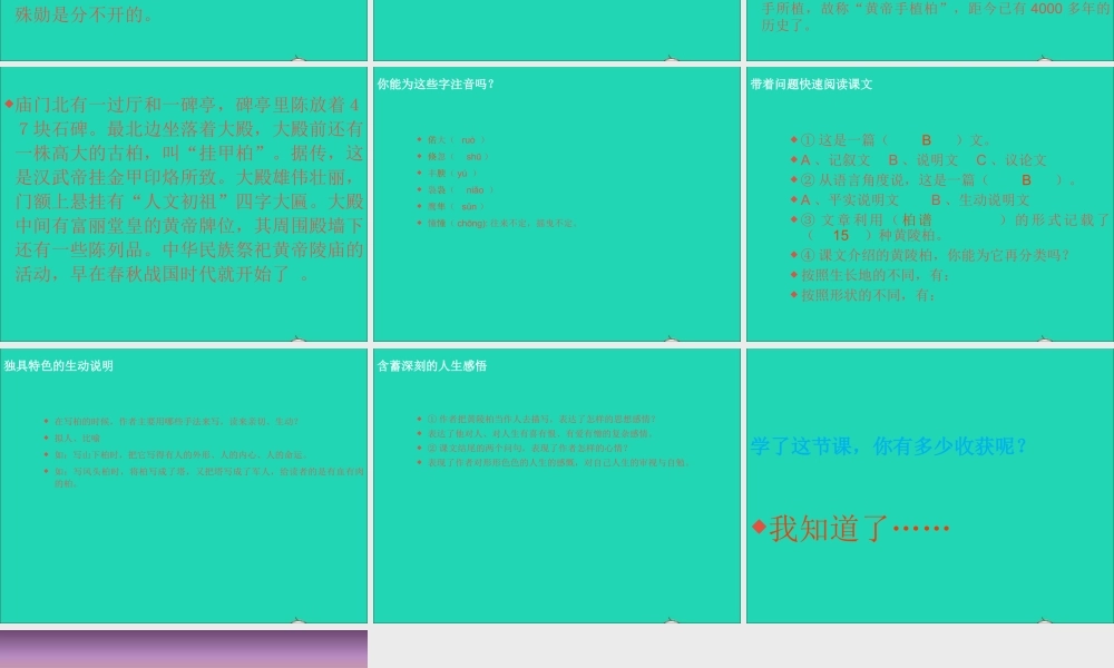 七年级语文下册 第五单元 18(黄陵柏)课件 冀教版 课件