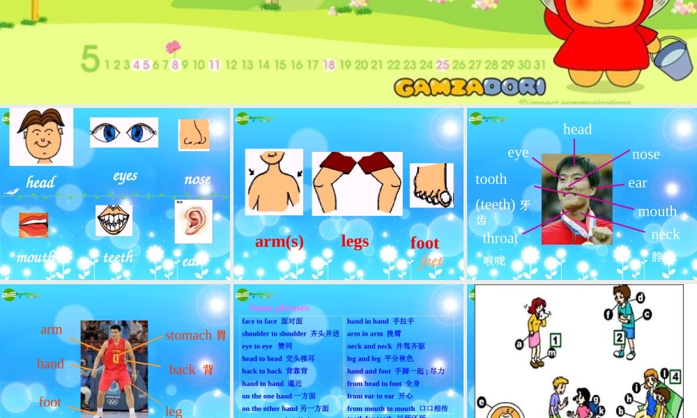 八年级英语上册 第二单元period-1课件 人教新目标版 课件