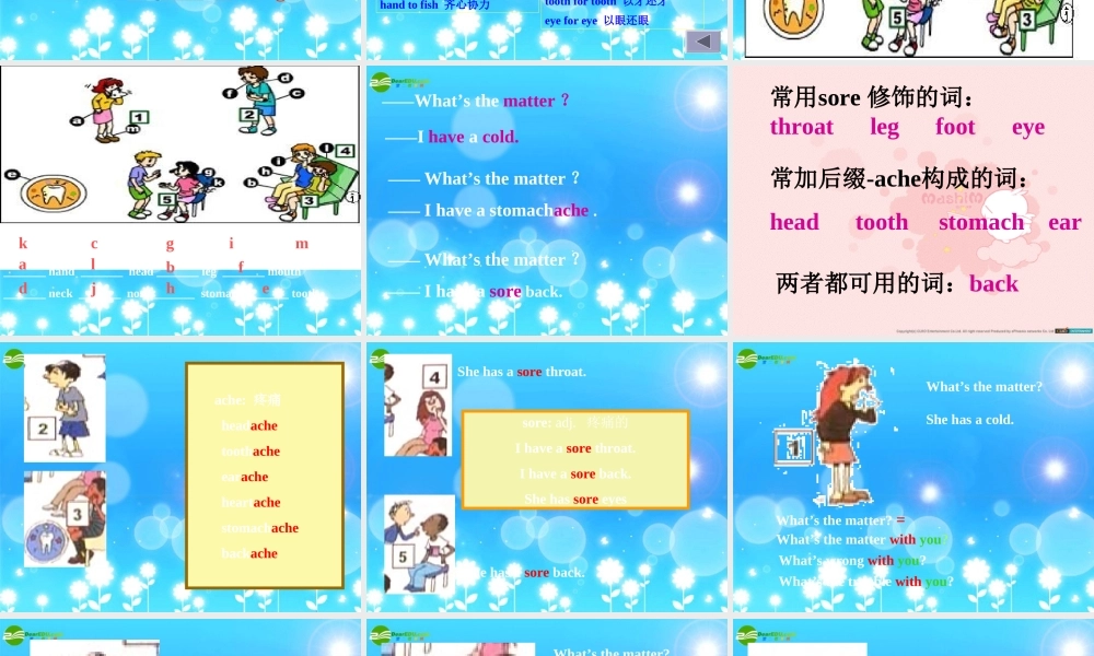 八年级英语上册 第二单元period-1课件 人教新目标版 课件