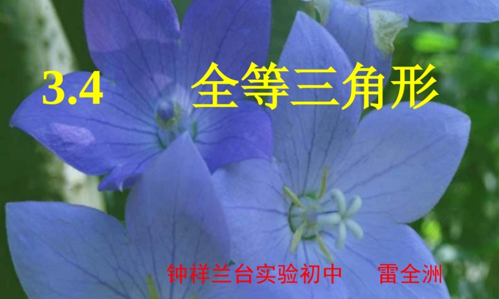 八年级数学全等三角形课件2 新课标 人教版 课件