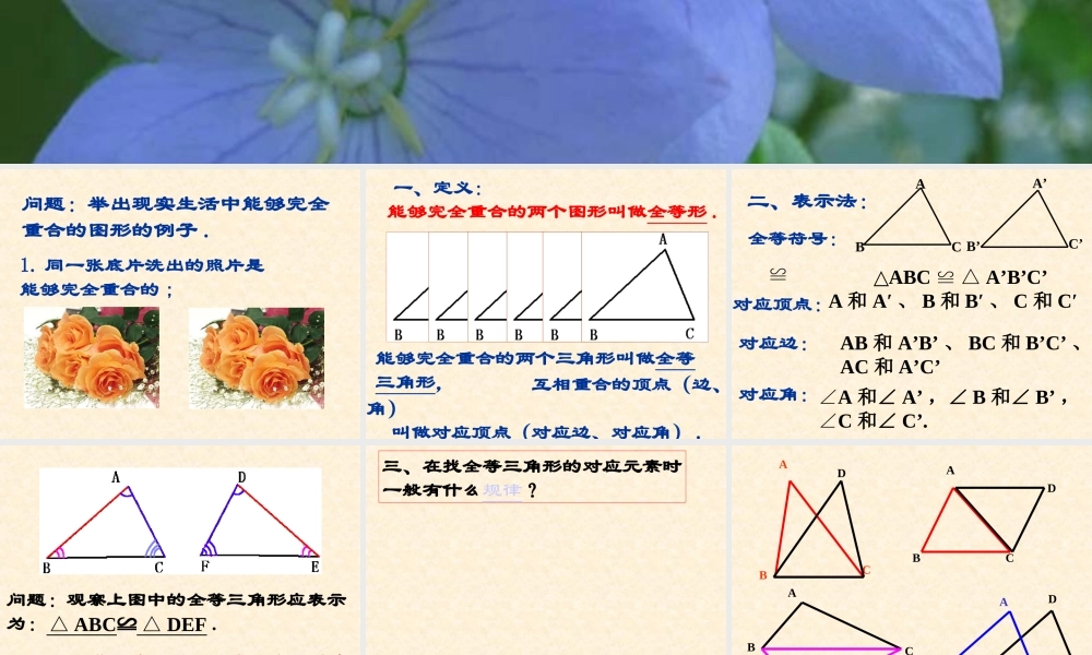 八年级数学全等三角形课件2 新课标 人教版 课件