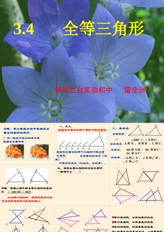 八年级数学全等三角形课件2 新课标 人教版 课件