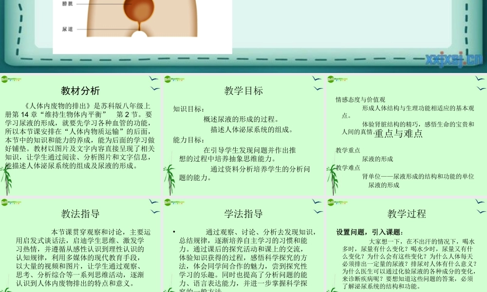 八年级生物上册 人体内废物的排出说课课件 苏科版 课件