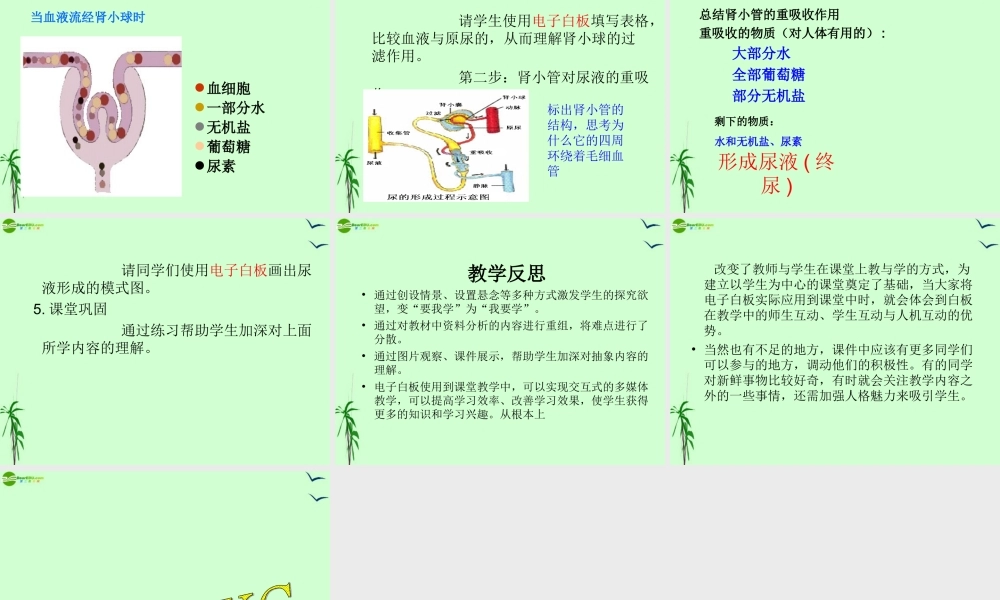 八年级生物上册 人体内废物的排出说课课件 苏科版 课件