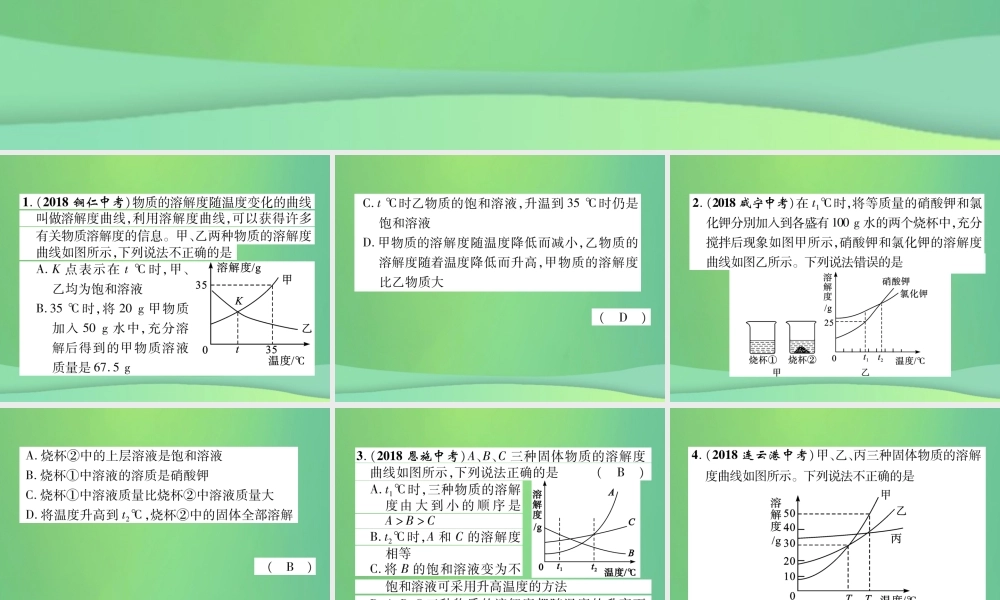 中考化学毕业总复习 第2编 重点专题突破篇 专项训练3 溶解度曲线课件