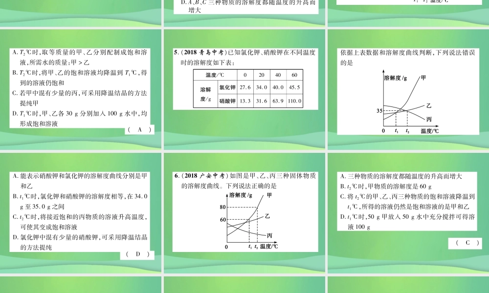 中考化学毕业总复习 第2编 重点专题突破篇 专项训练3 溶解度曲线课件