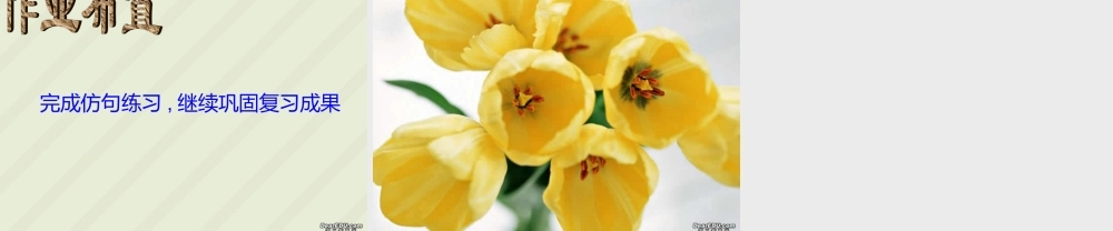 九年级语文仿写专题复习质课件