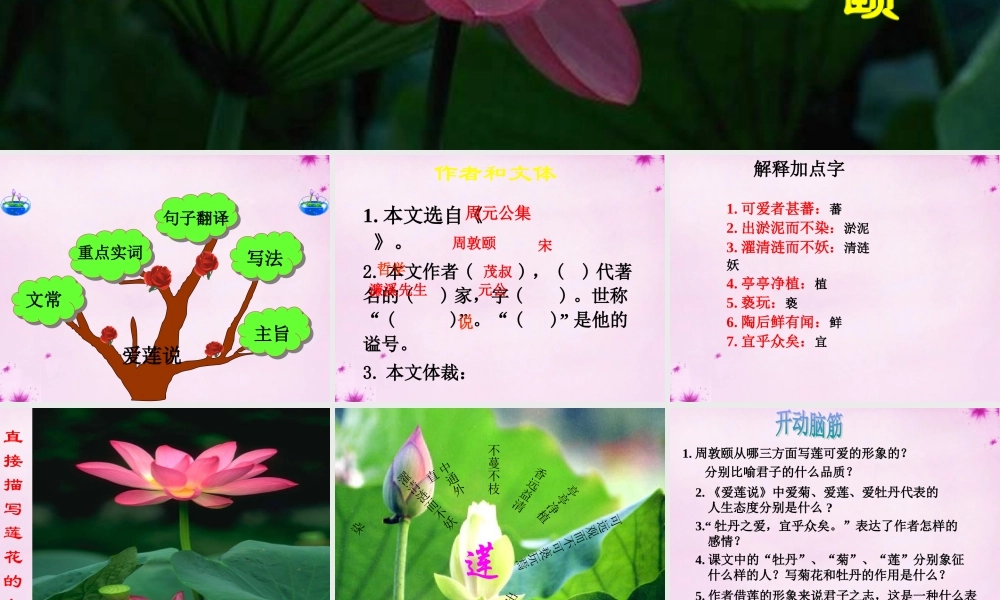 七年级语文下册 23(爱莲说)教学课件 语文版 课件