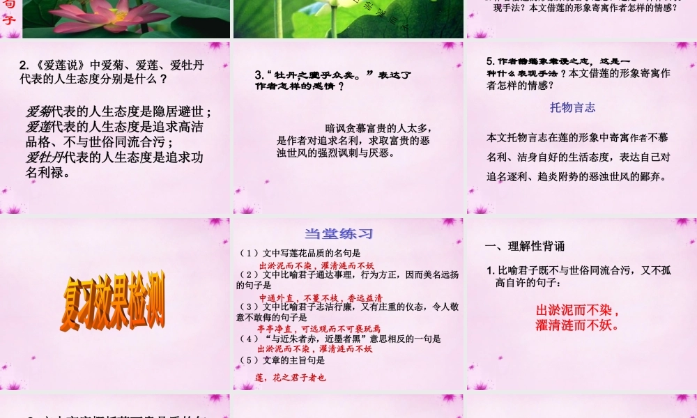 七年级语文下册 23(爱莲说)教学课件 语文版 课件