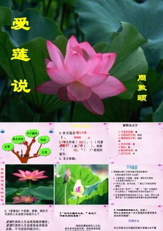 七年级语文下册 23(爱莲说)教学课件 语文版 课件